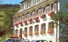 Logis Hotel Wetterer Orbey